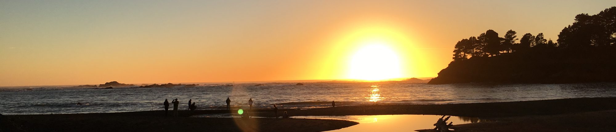 Viviana Urdaneta, LCSW